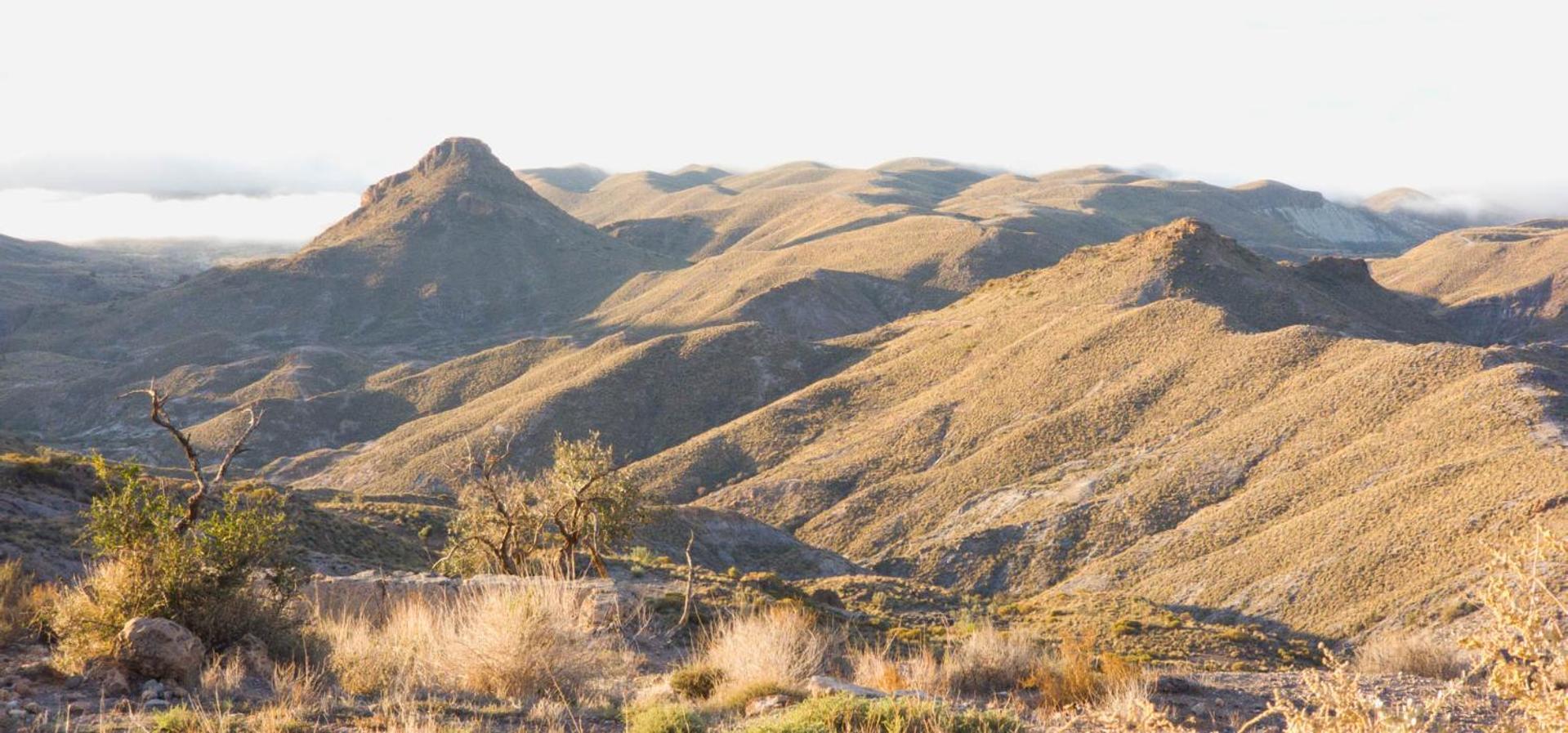 Cortijo El Albaricoque De La Sierra - Finca De 75 Hectareas ! Níjar Εξωτερικό φωτογραφία
