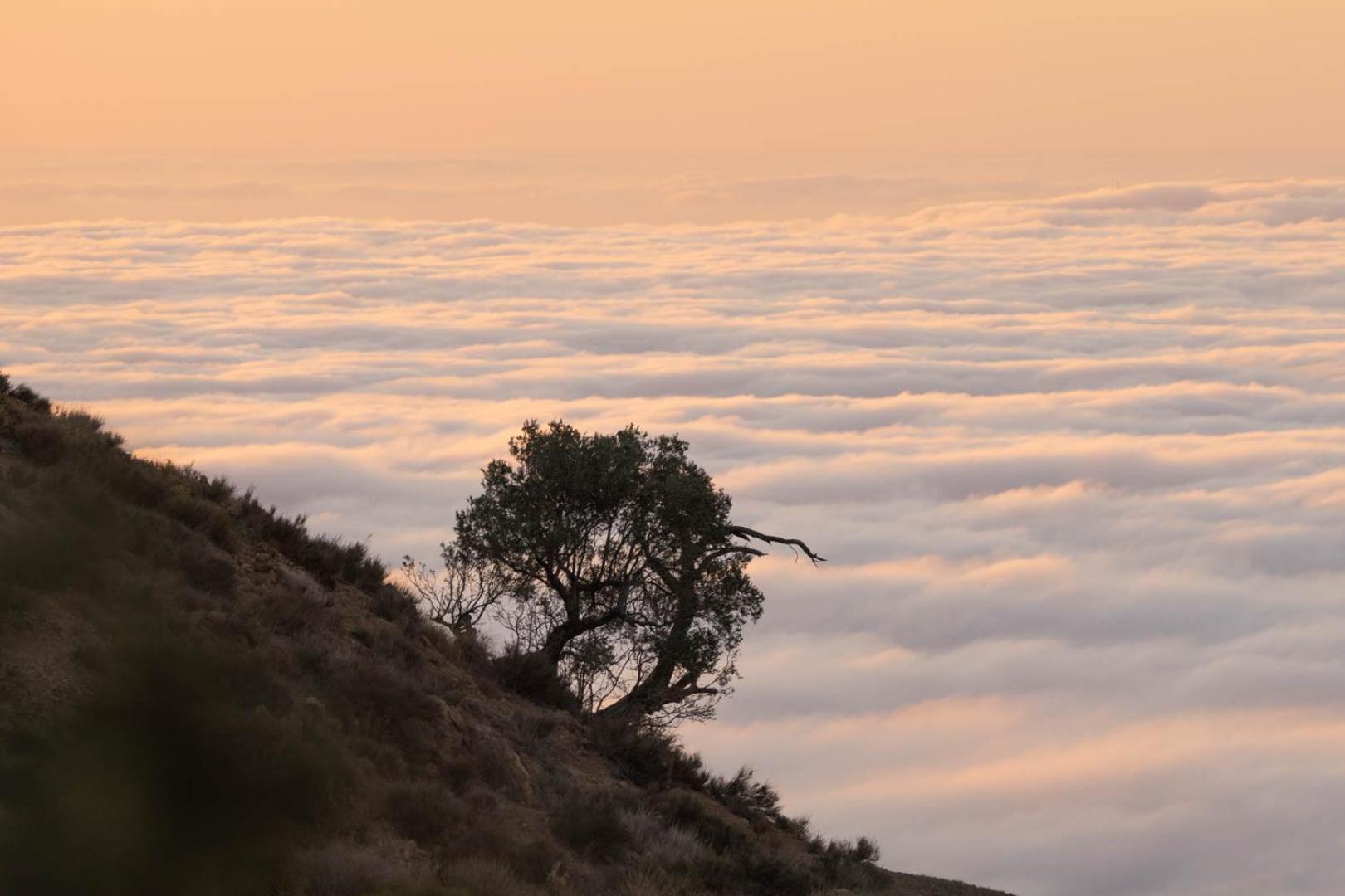 Cortijo El Albaricoque De La Sierra - Finca De 75 Hectareas ! Níjar Εξωτερικό φωτογραφία